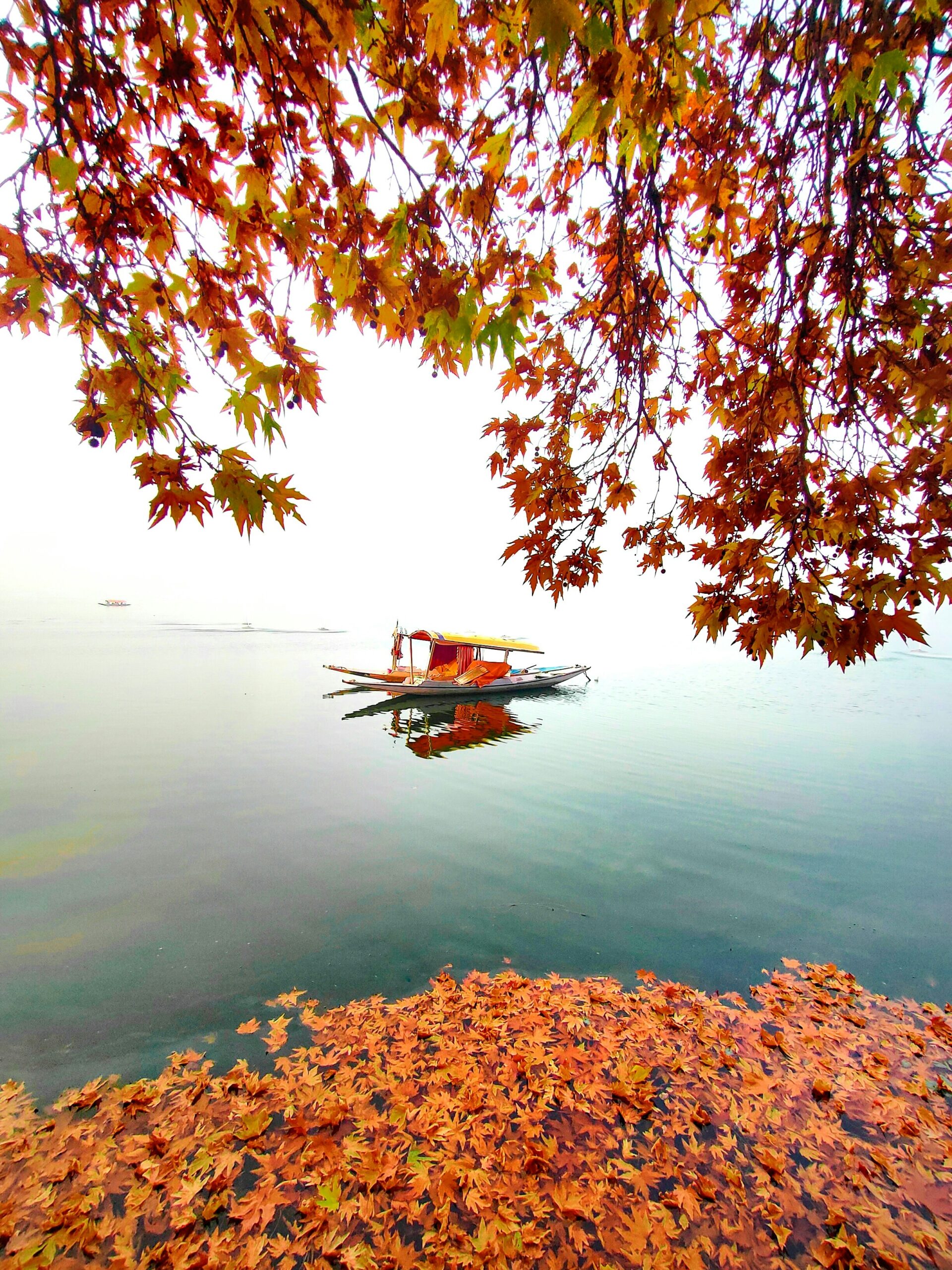 Zarar Tours & Travels Kashmir
